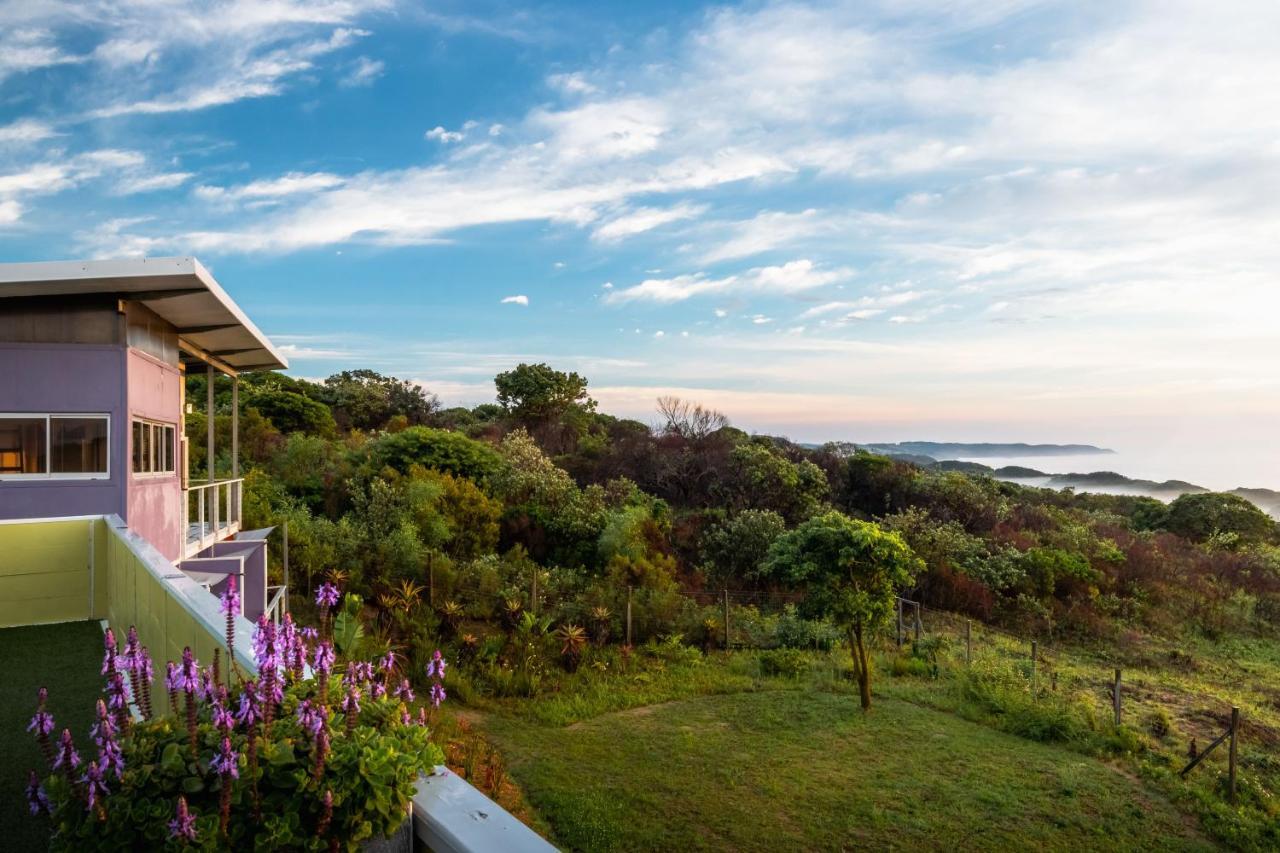 צ'ינטסה Purple Haze Eco Lodge מראה חיצוני תמונה