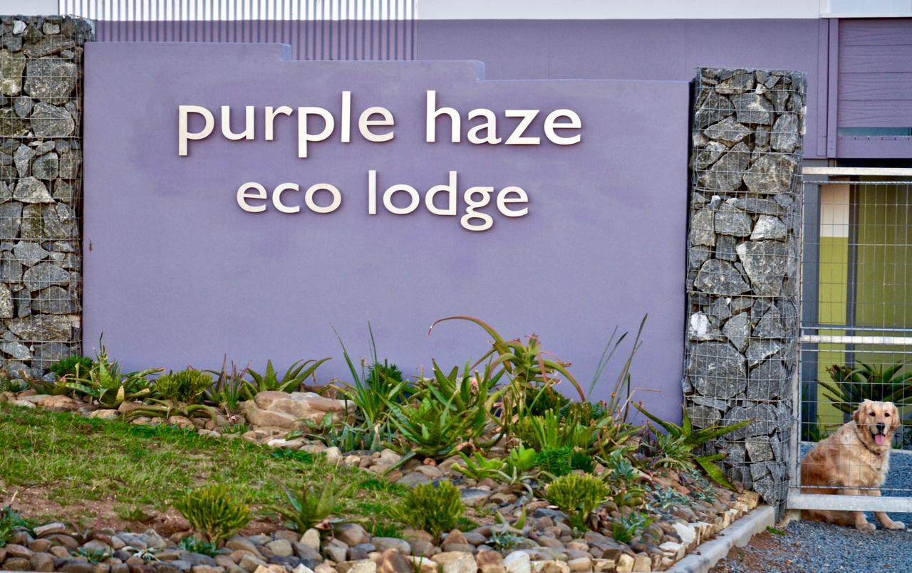 צ'ינטסה Purple Haze Eco Lodge מראה חיצוני תמונה